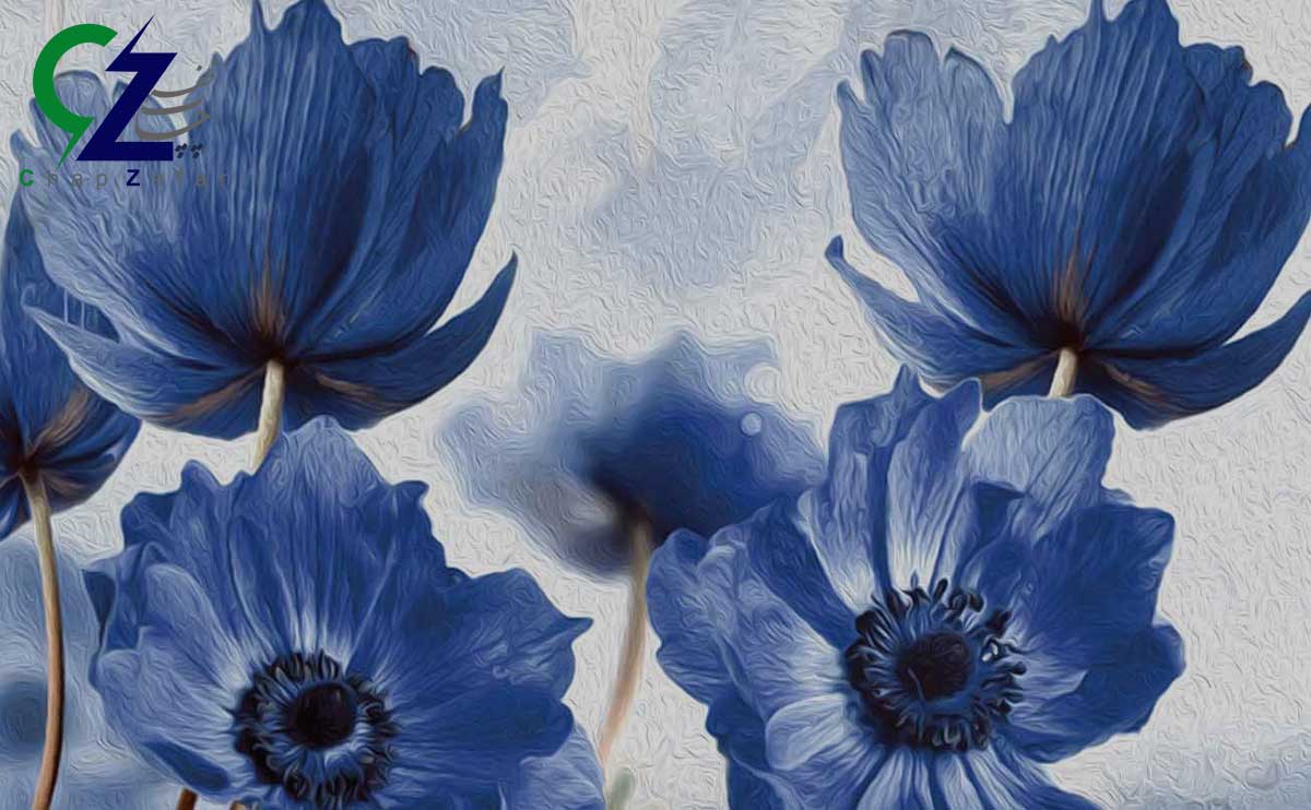 چاپ روی بوم